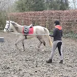 בית נופש Paedshof Ransdaal