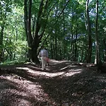 בית נופש Paedshof *