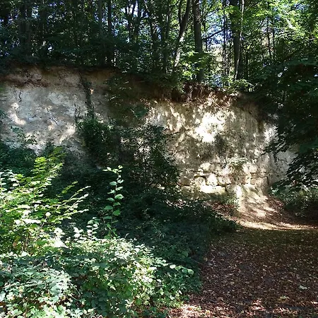 Paedshof * Ransdaal