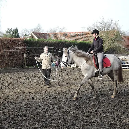 Holiday home Paedshof