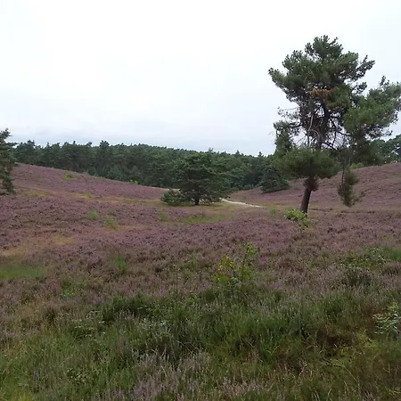 Feriehus Paedshof Ransdaal