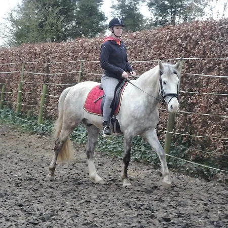 Prázdninový dům Paedshof *