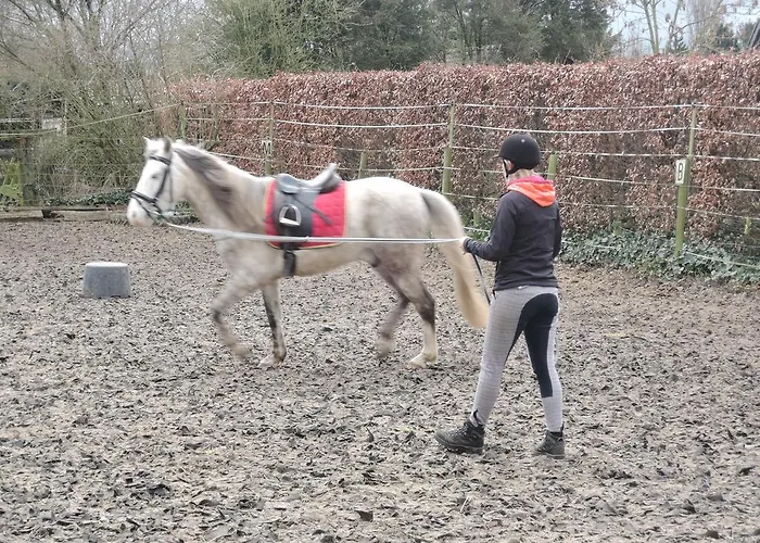 Дом отдыха Paedshof Ransdaal