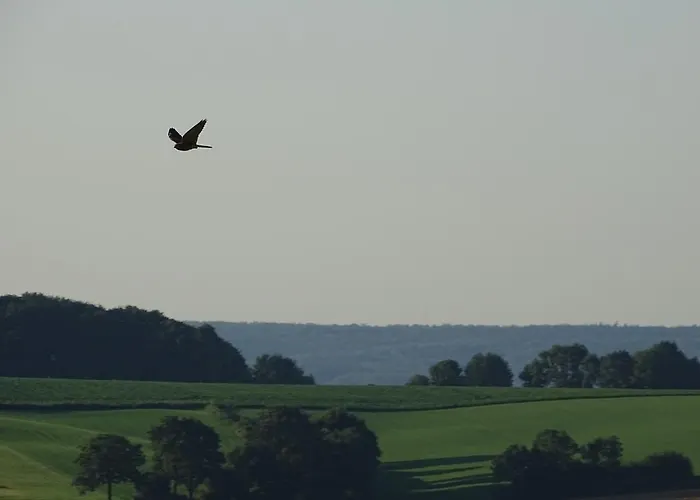 Дом отдыха Paedshof