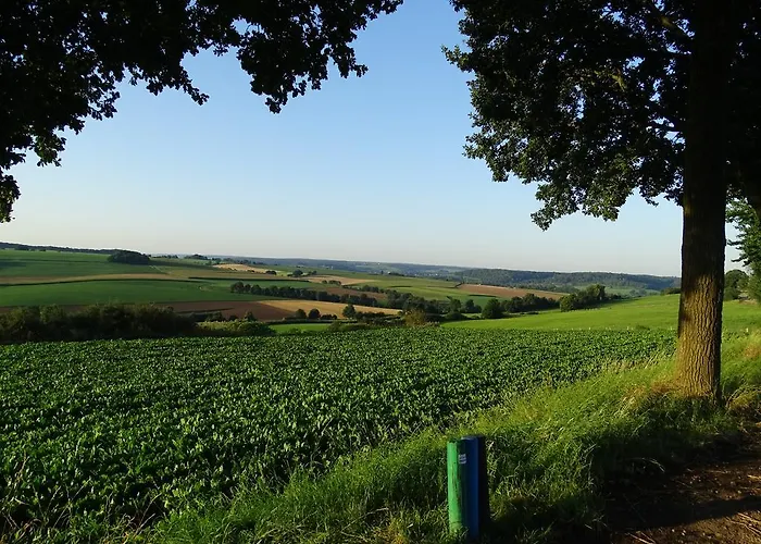 Дом отдыха Paedshof *