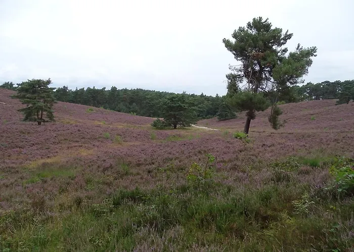 Feriehus Paedshof Ransdaal