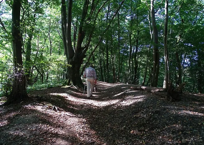 Дом отдыха Paedshof *