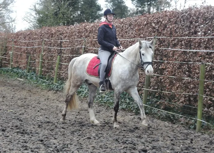 Дом отдыха Paedshof *