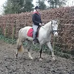 Ferienhaus Paedshof *