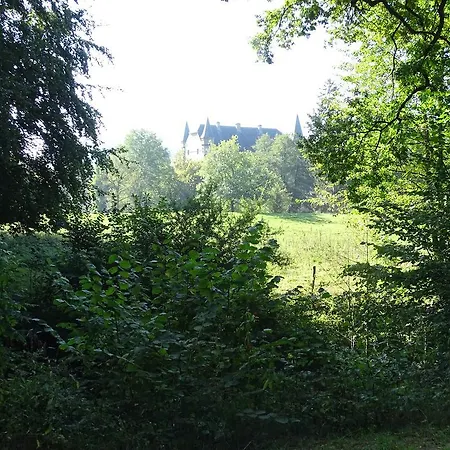 Paedshof