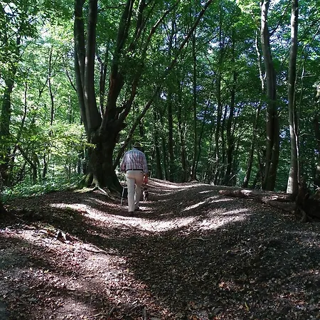 Дом отдыха Paedshof *